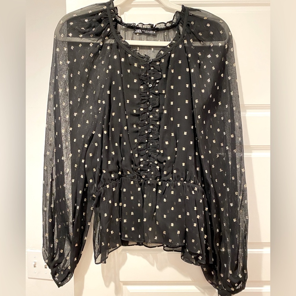 Zara Sheer Metallic Blouse Top
